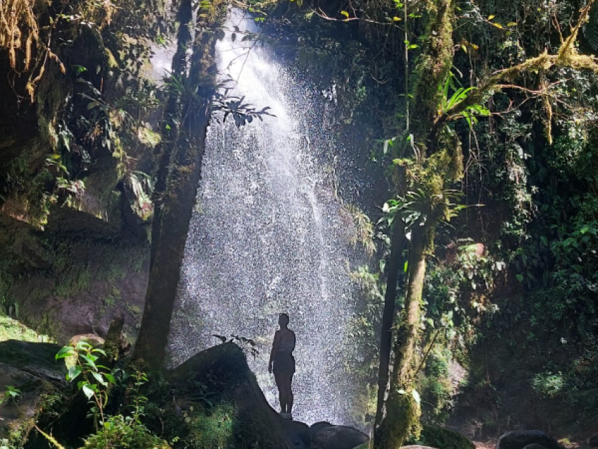 Cascade
