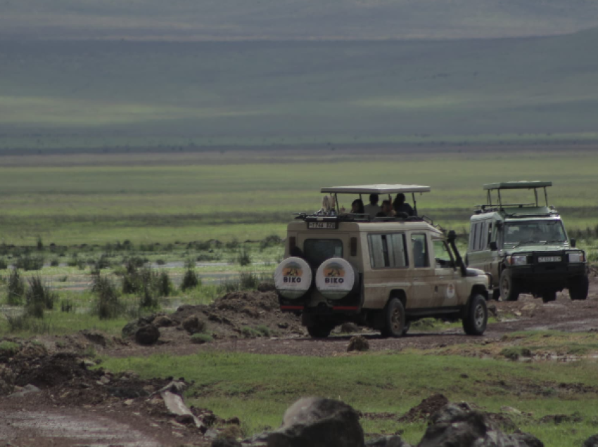 ngorongoro
