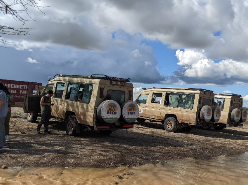 serengeti