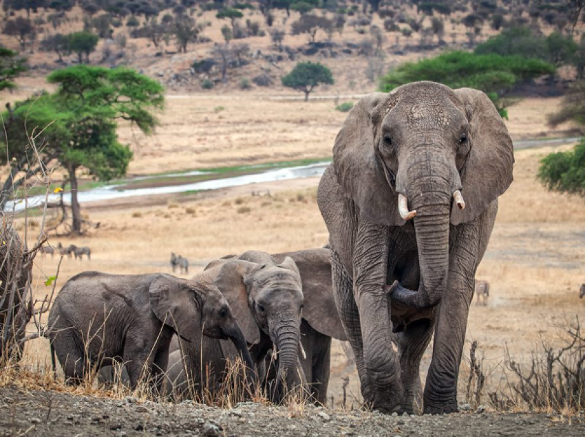 BIKO ADVENTURES TOURS