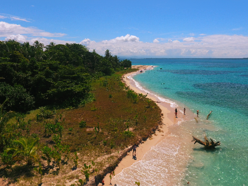 Bocas del toro