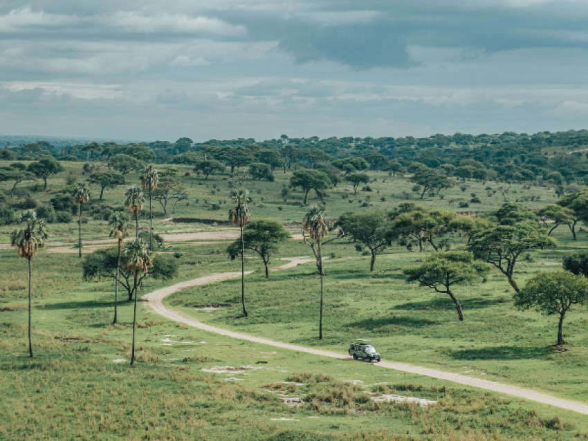 Parc National du Tarangire