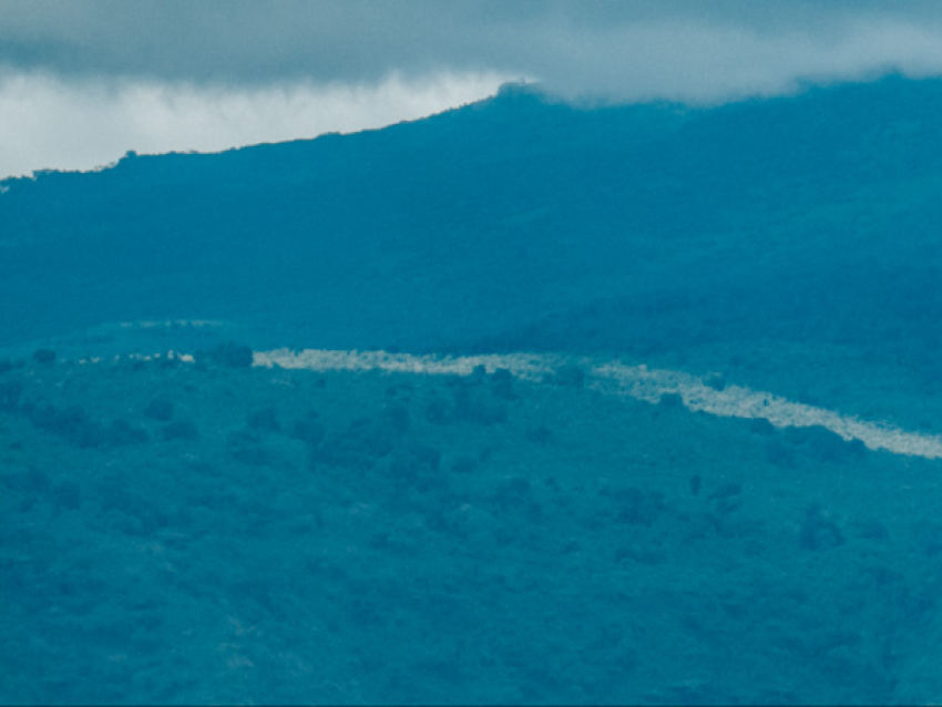 Cratère du Ngorongoro