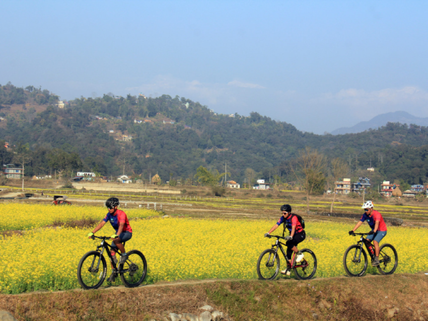 Pokhara