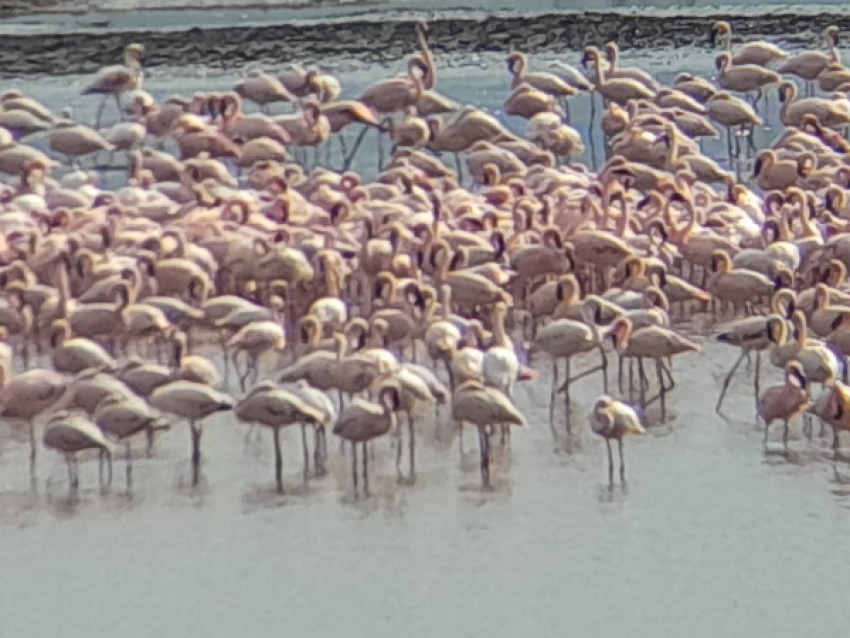Nakuru