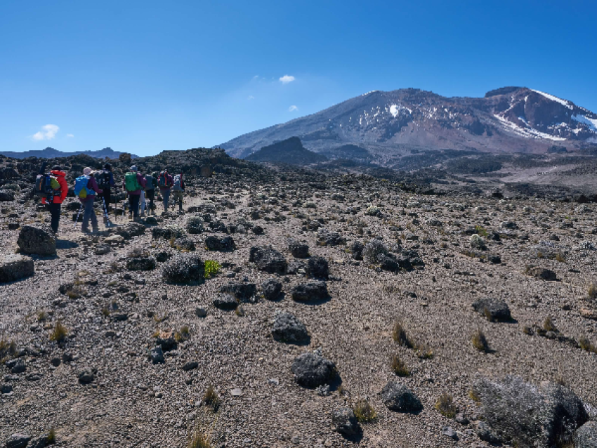 Kilimandjaro