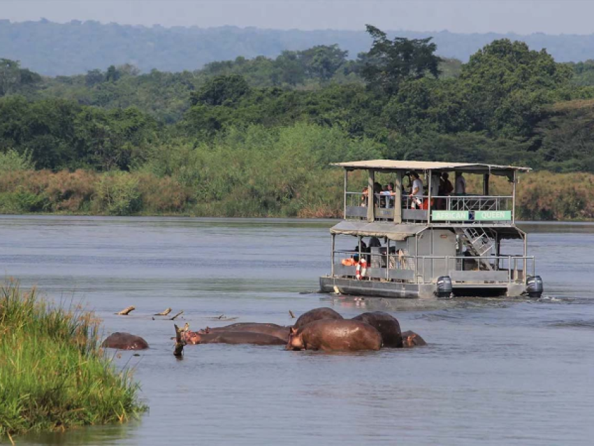 LANCEMENT D'UN SAFARI EN BATEAU SUR LE NIL DANS LE PARC NATIONAL DE MURCHISON FALLS