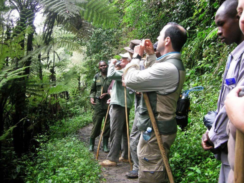Randonnée nature à Bwindi. Balade dans la forêt de Bwindi