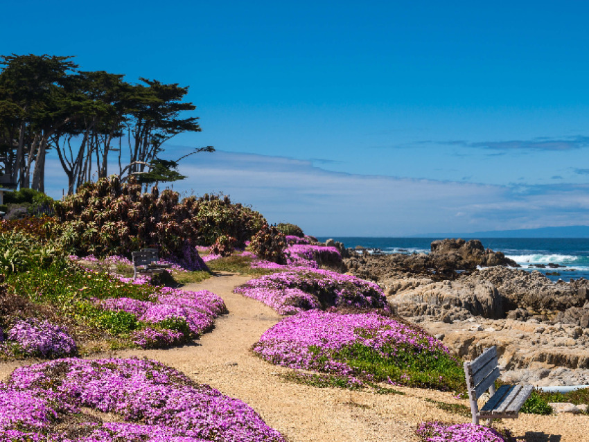 Monterey en Californie