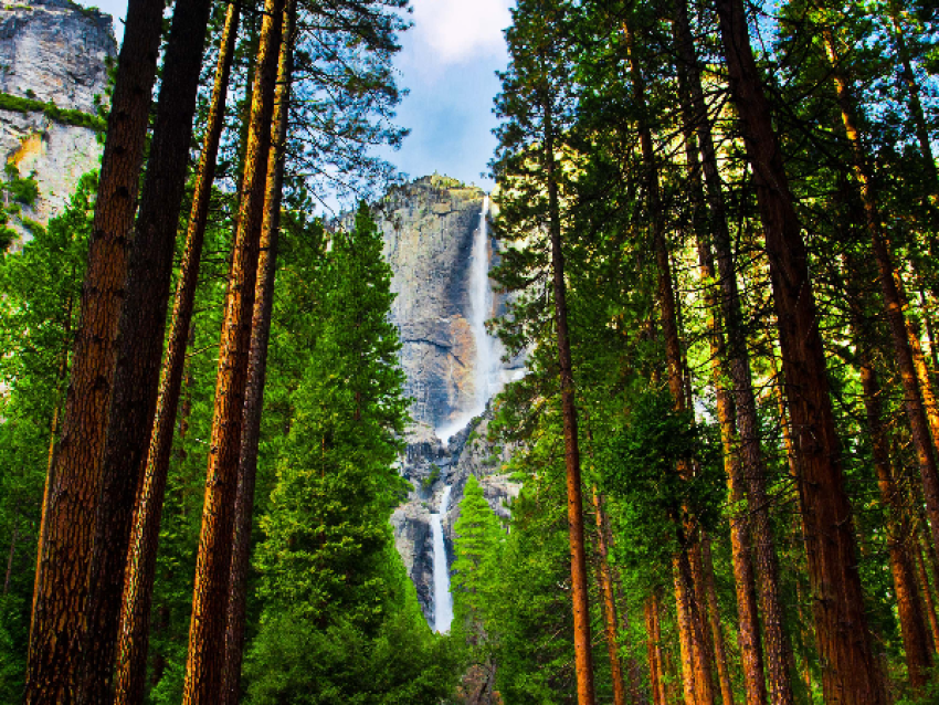 Cascade de Yosemite