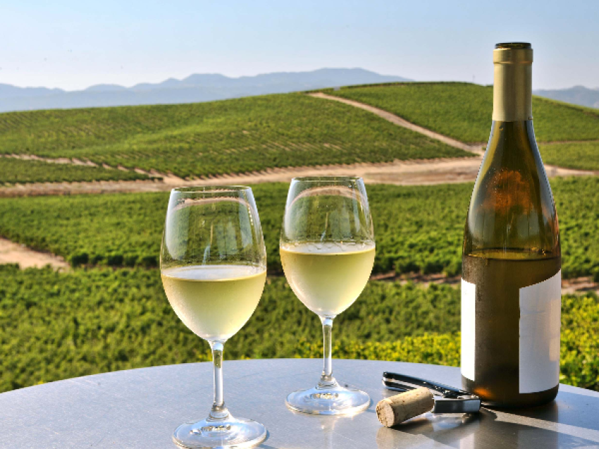 Vallée des vins