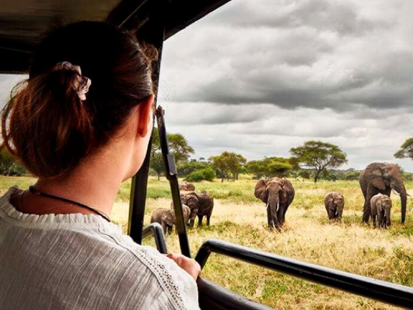 KIRIWE TRAVEL & TREKKING SAFARIS