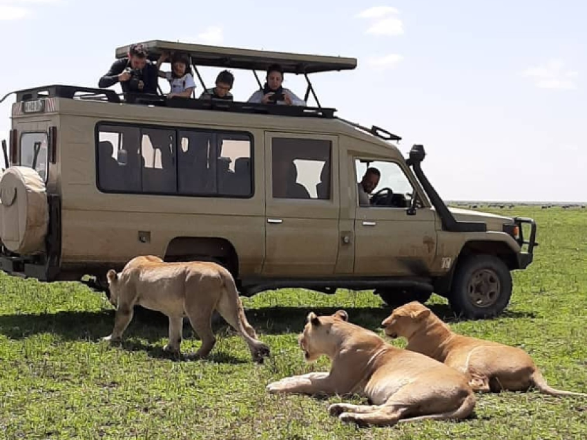 KIRIWE TRAVEL & TREKKING SAFARIS