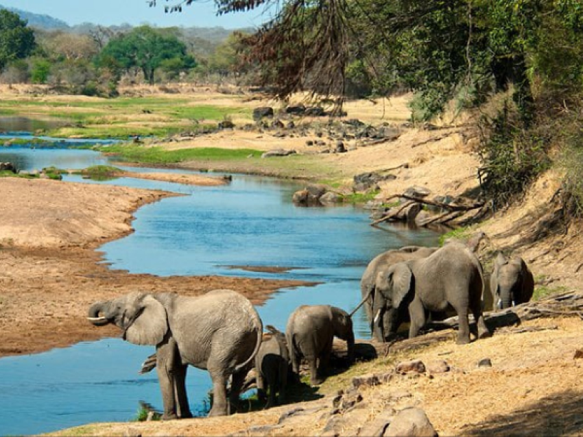 KIRIWE TRAVEL & TREKKING SAFARIS