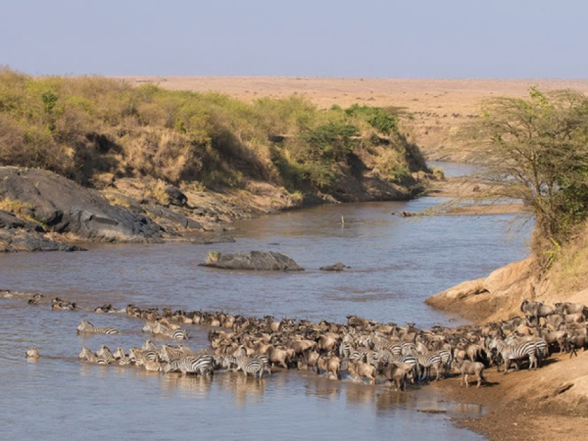 KIRIWE TRAVEL & TREKKING SAFARIS