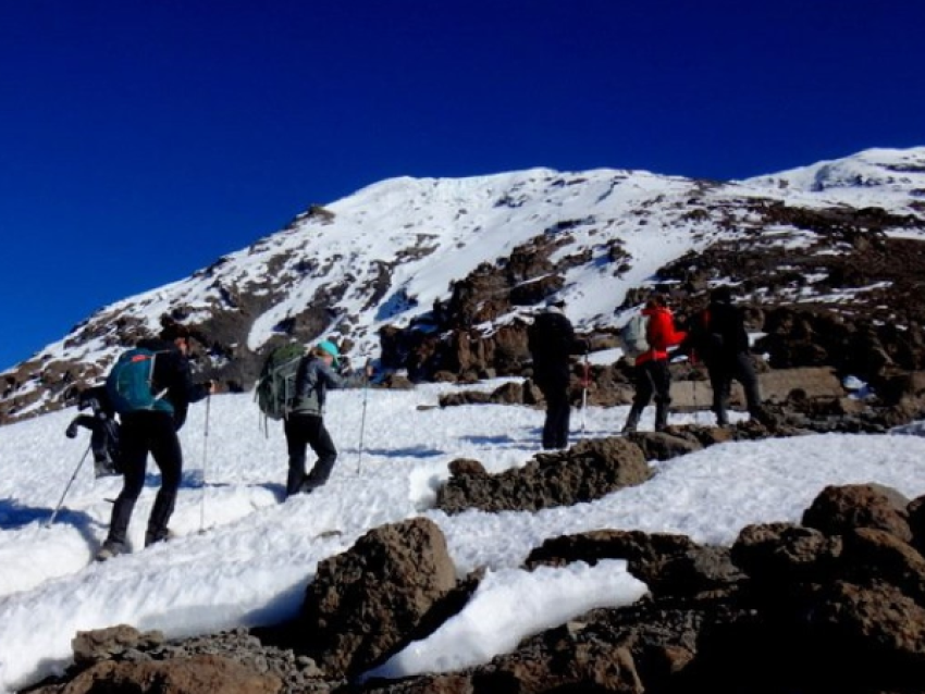 KIRIWE TRAVEL & TREKKING SAFARIS