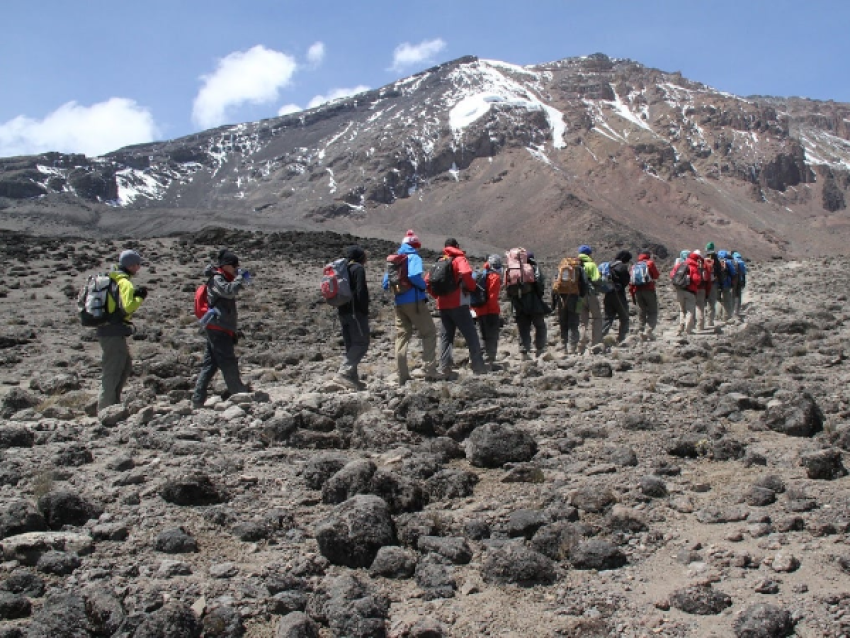 KIRIWE TRAVEL & TREKKING SAFARIS