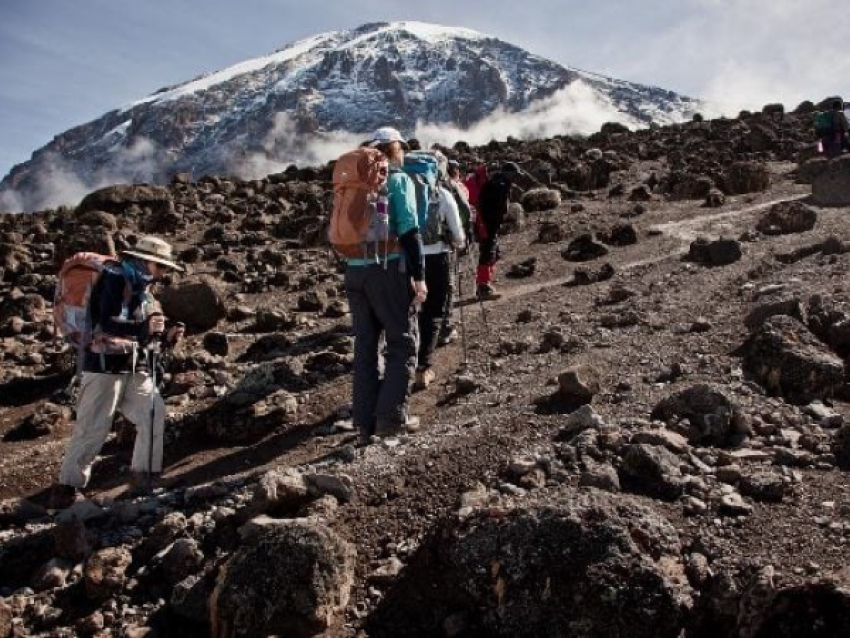 KIRIWE TRAVEL & TREKKING SAFARIS