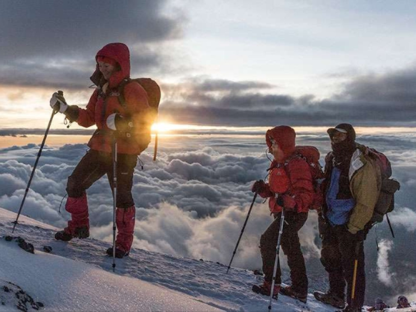 KIRIWE TRAVEL & TREKKING SAFARIS