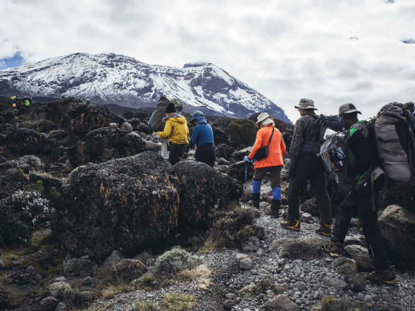 Expériences de randonnée sur le Kilimandjaro