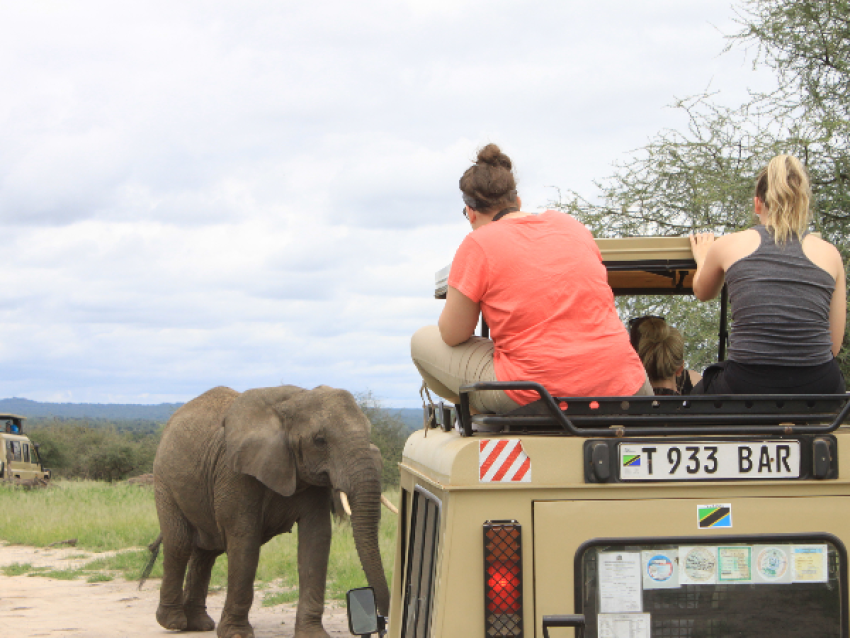 safari de 6 jours en camping dans le nord de la Tanzanie