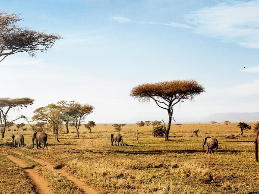 safari de 6 jours en camping dans le nord de la Tanzanie