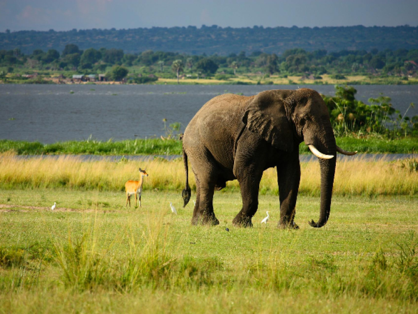 SAFARI GATEWAY LTD