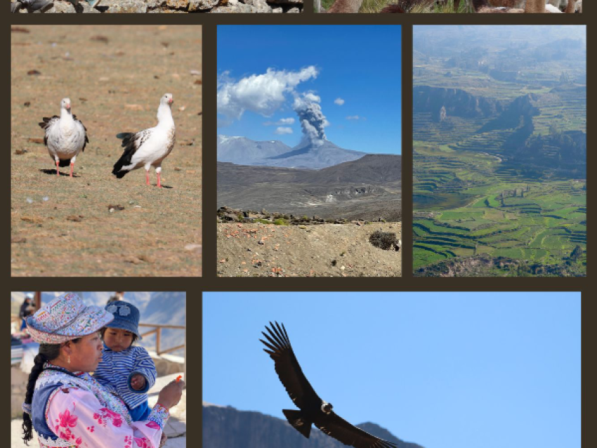 Canyon de Colca
