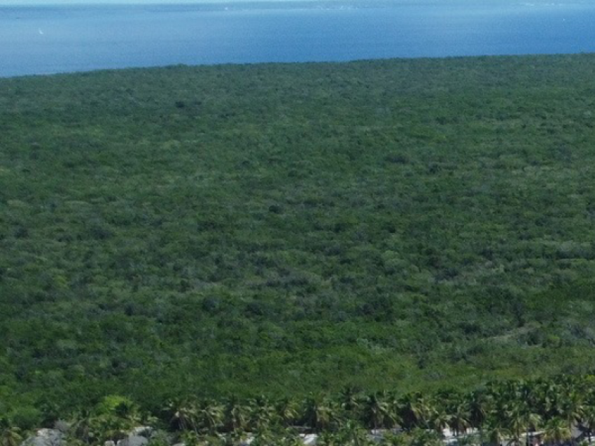 Excursion au Quetzal