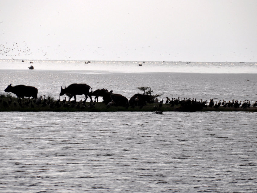 canal de kazinga