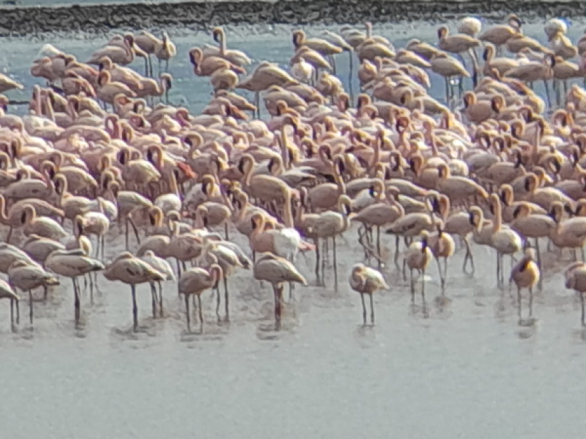 NAKURU