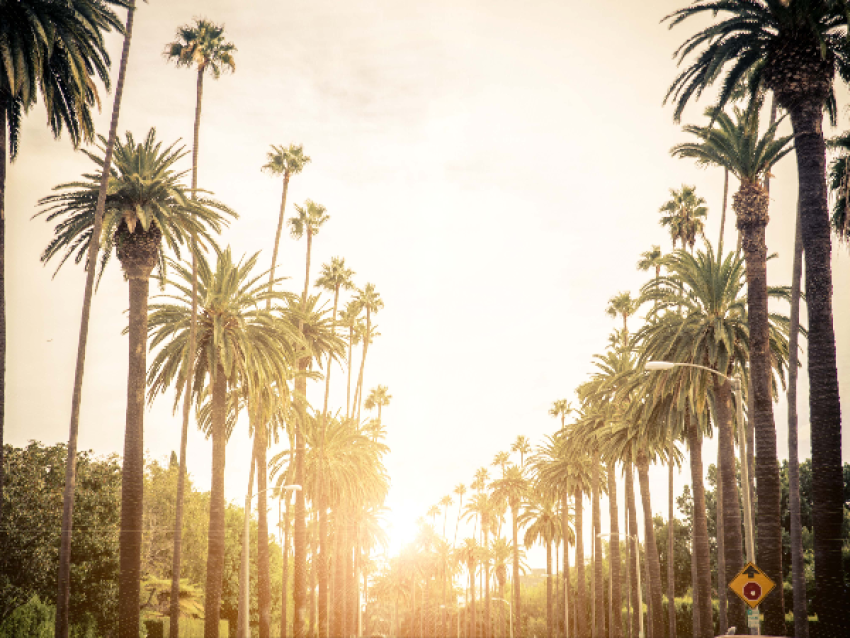Beverly Hills