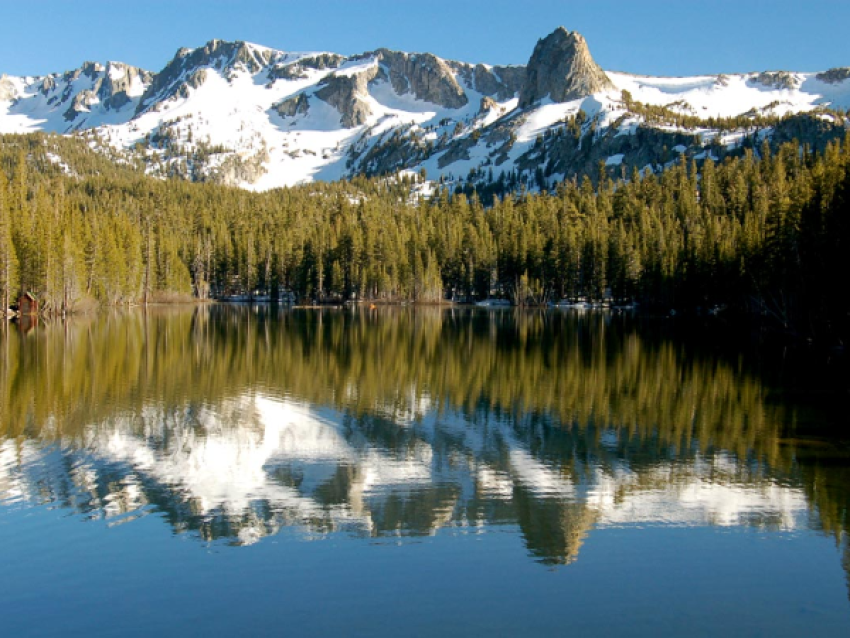 Lacs Mammoth