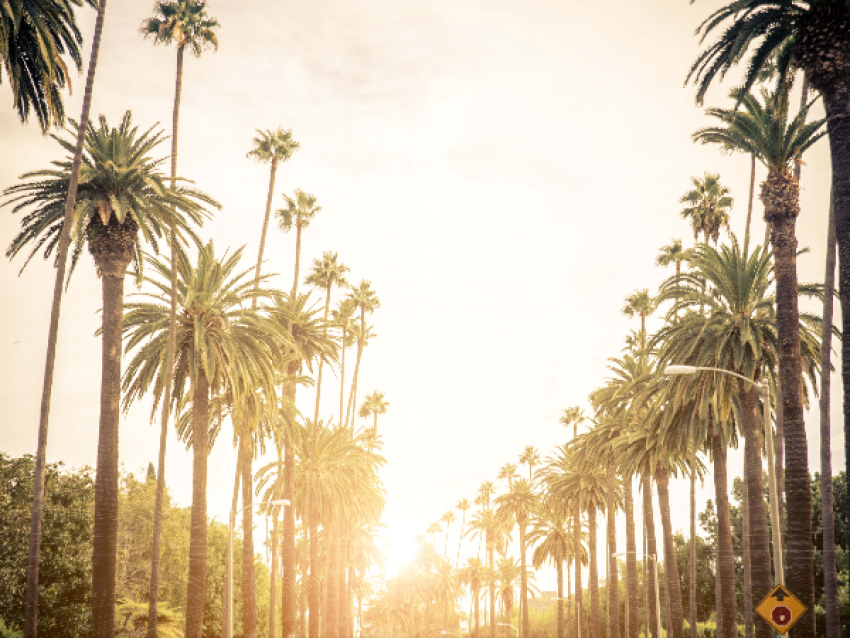 Beverly Hills