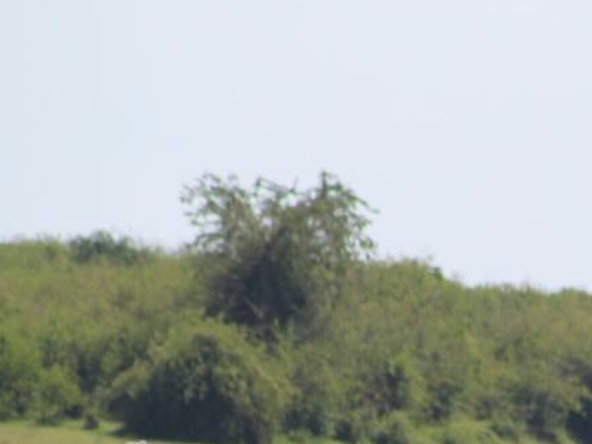 Observation des oiseaux pendant le safari en bateau le long du canal de Kazinga