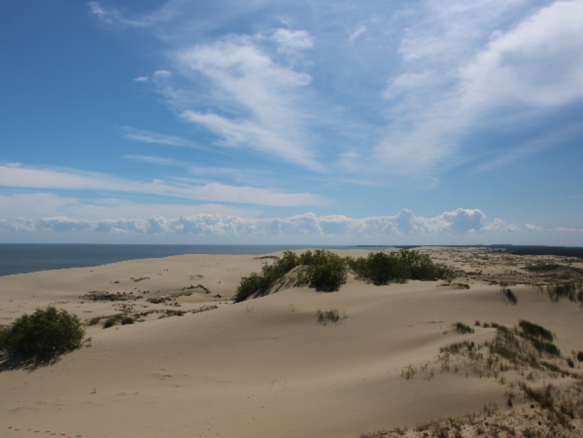 Dunes mortes, isthme de Courlande