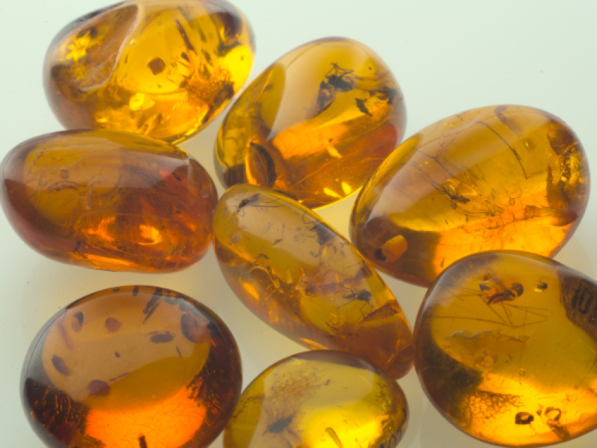 Ambre