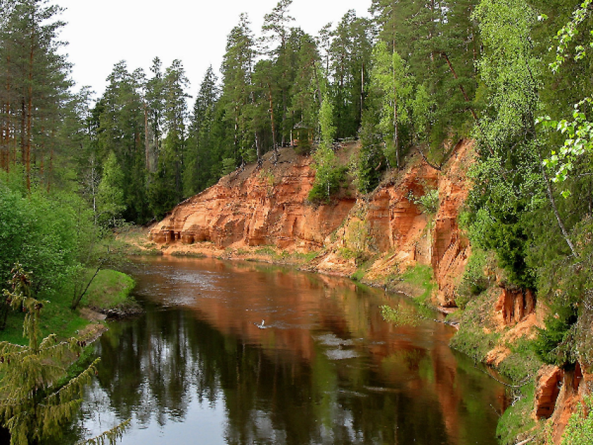 Gauja