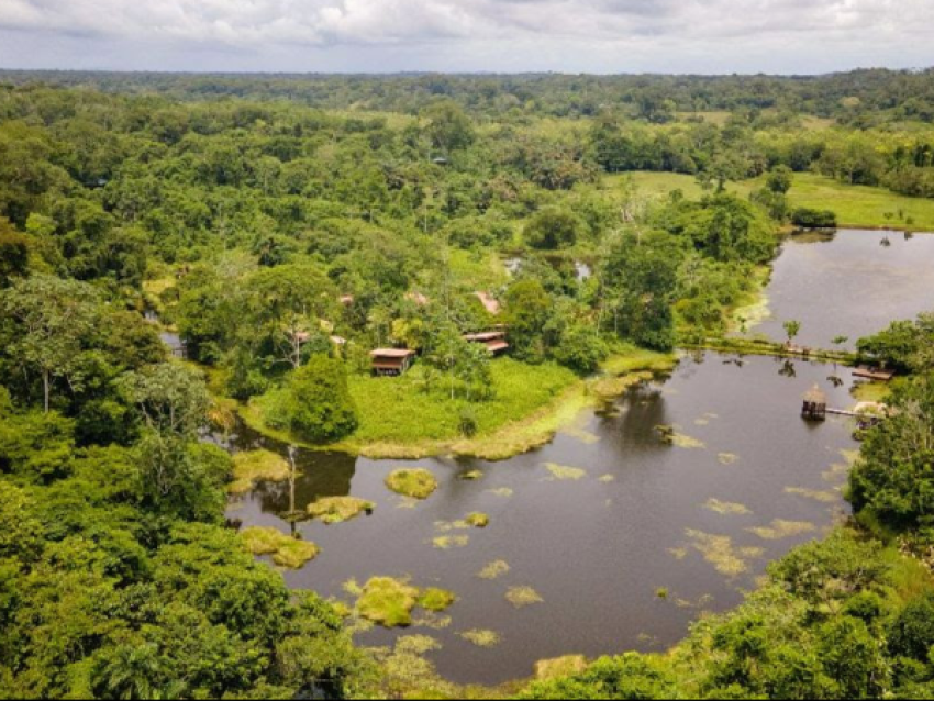 Maquenque lodge