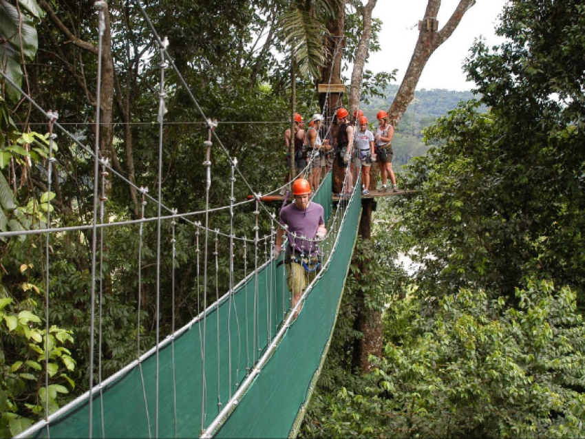 Ponts suspendus