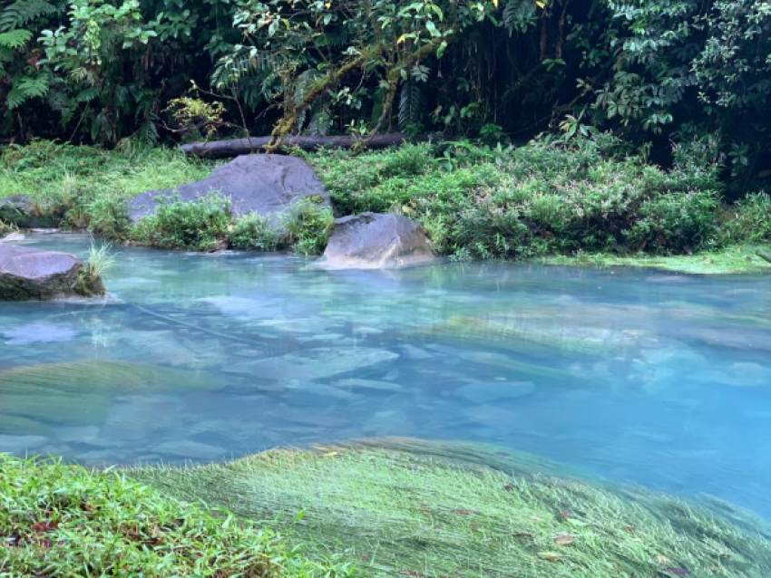 Rio Celeste, parc national du volcan Tenorio