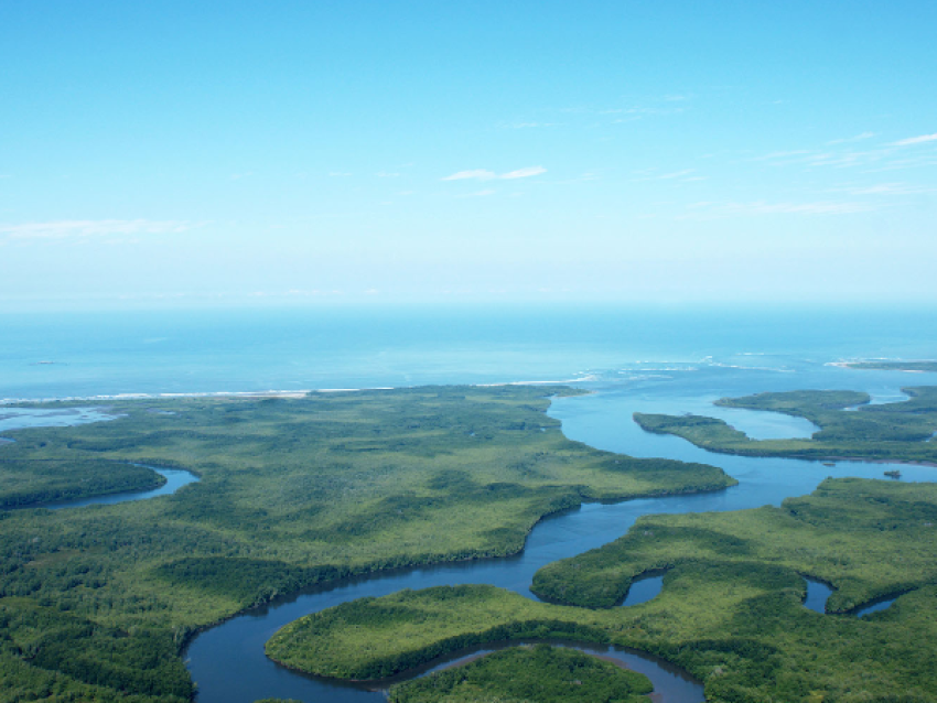 le rio Sierpe vu du ciel