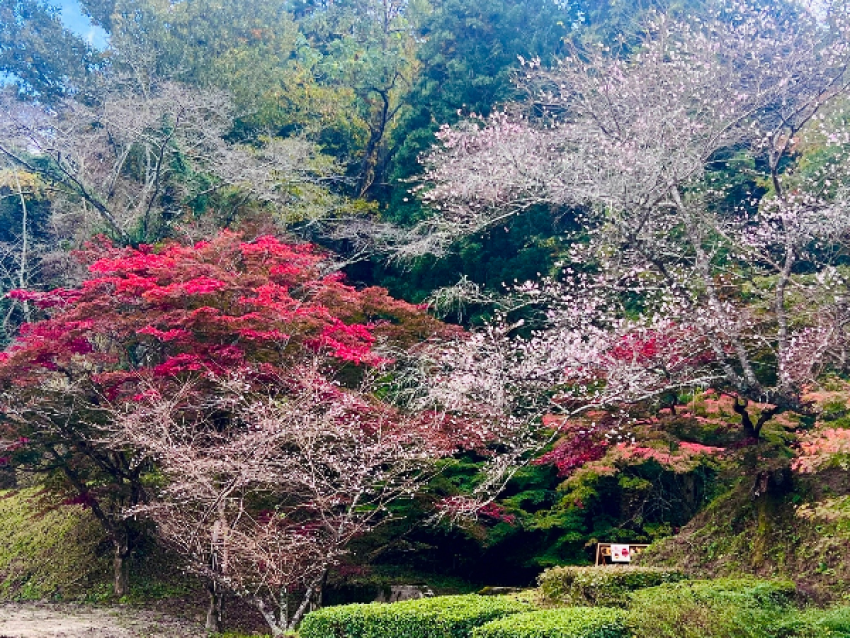 Korankei
