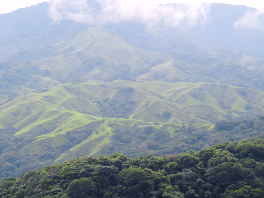 Monteverde