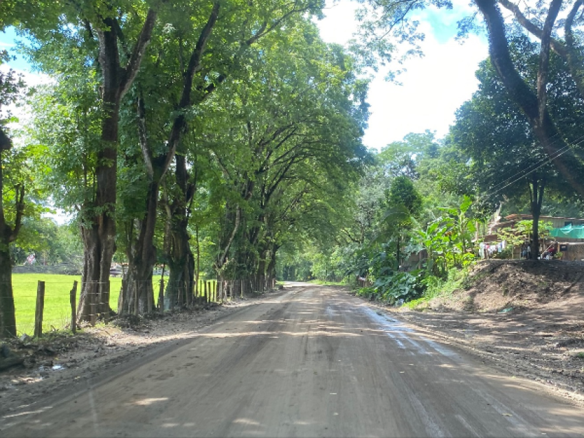 route dans la peninsule