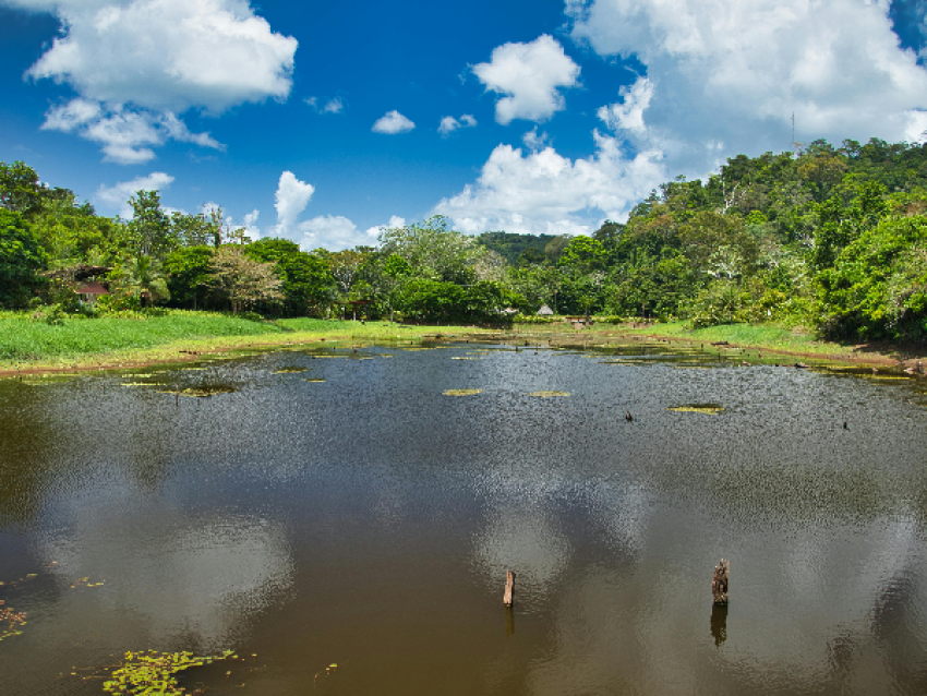 Boca Tapada