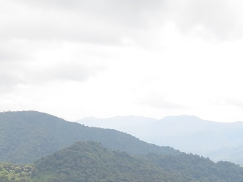 Monteverde