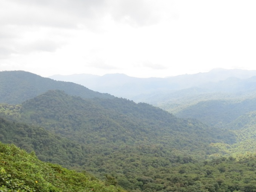 Monteverde