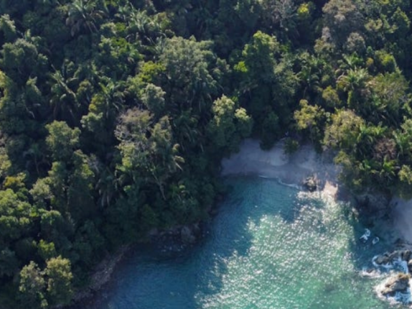 Parc National de Manuel Antonio