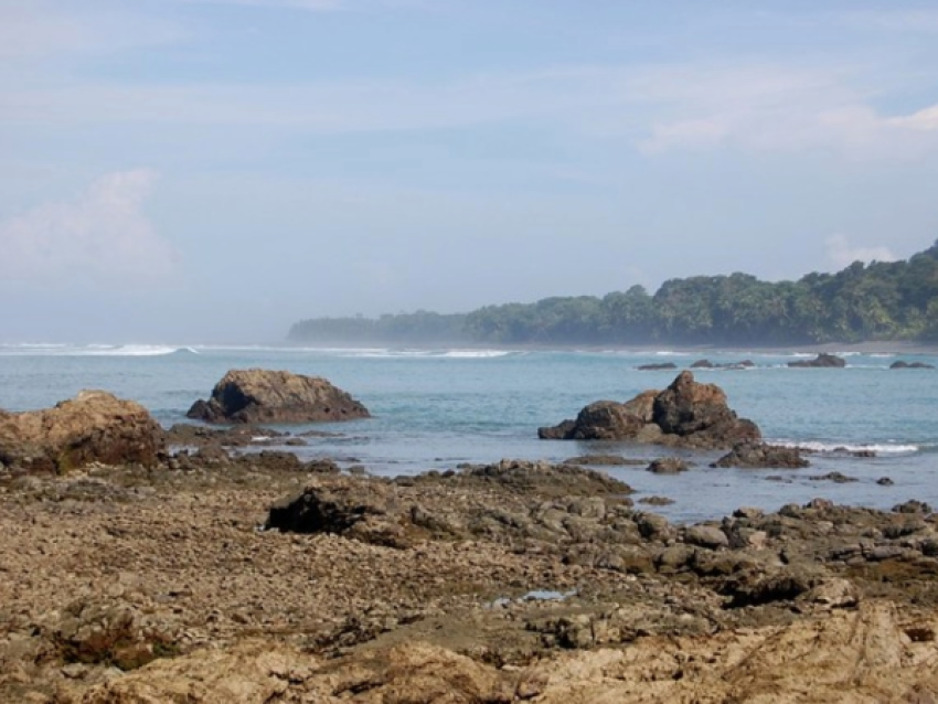 Parc national corcovado